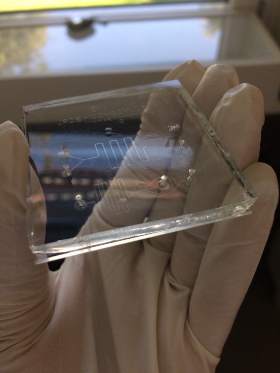 Microfluidic chip made in PDMS technology