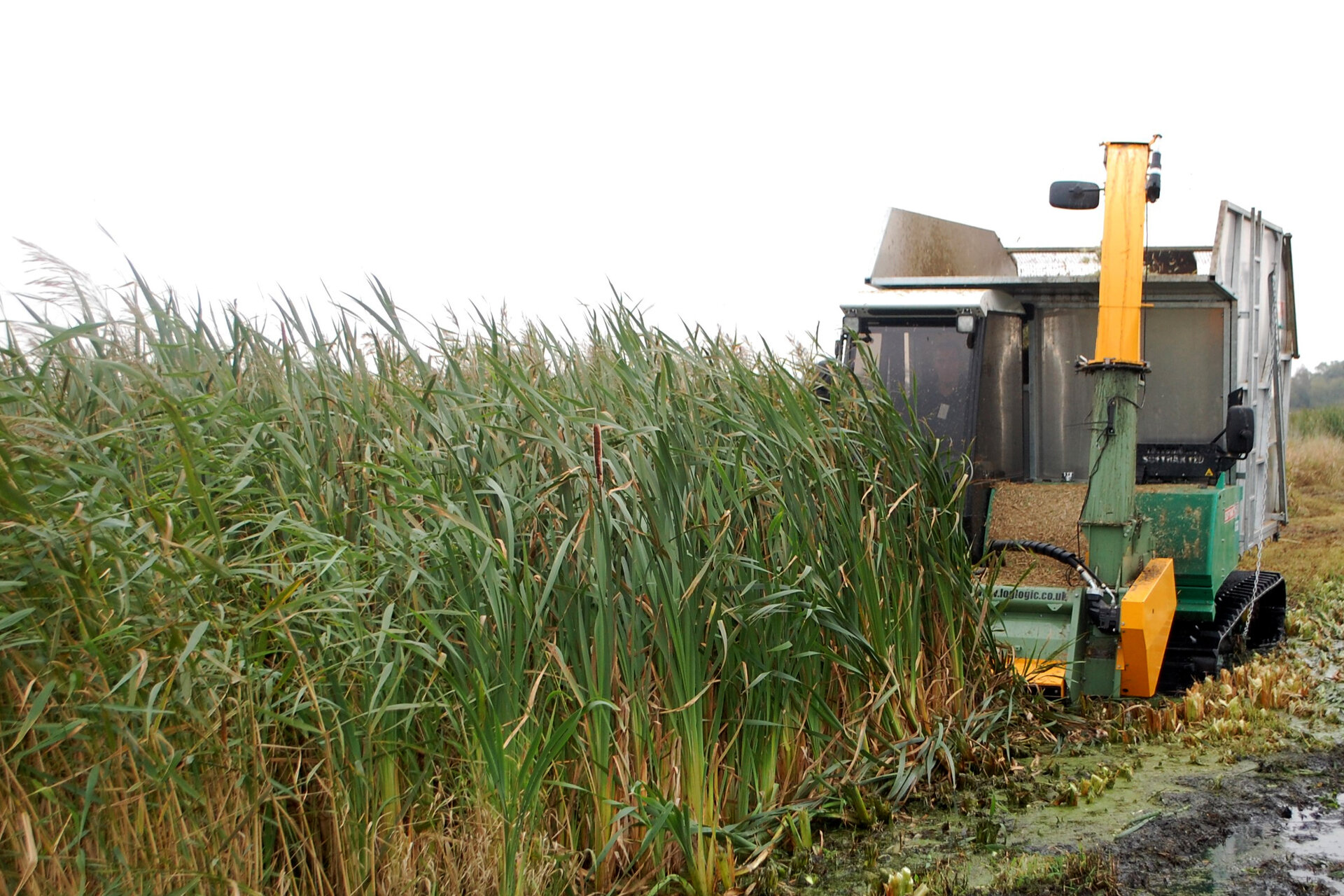 Die Ernte der Rohrkolben-Biomasse erfolgt ausschließlich mit Spezialmaschinen, die ein sehr geringes Gewicht haben.